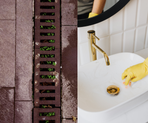 Clear Clogged Drains